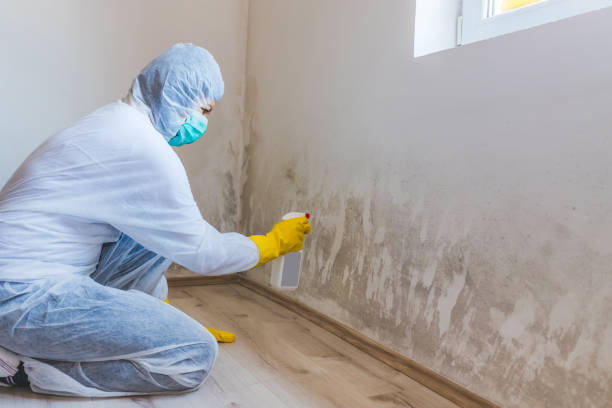 Licensed Mold Testing service in Augusta, GA - WQB Mold Removal