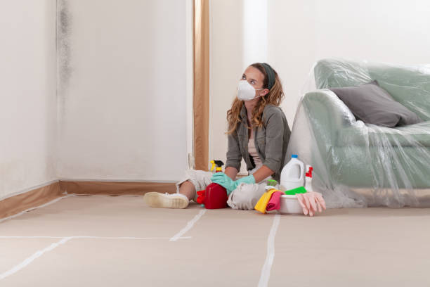 Reliable Mold Testing contractor in Augusta, GA by WQB Mold Removal