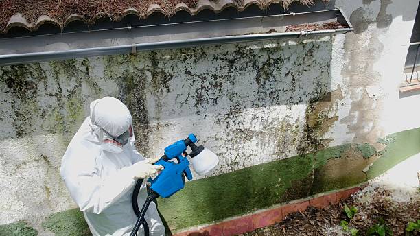 Top rated local Mold Testing specialists in Augusta, GA